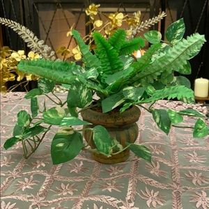 Fake green house plant.